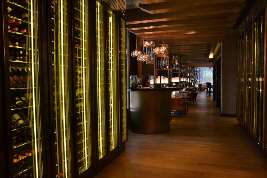 Шкаф для вина, шкаф для виски или шкаф для коньяка