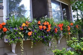 11 способов создания цветочной композиции . 11 способов создания цветочной композиции .