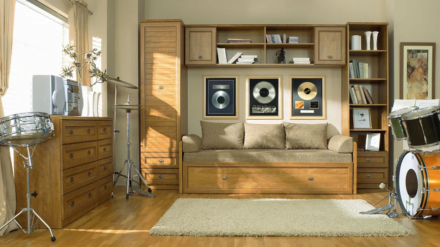 Вместительные шкафы, раскладная кровать с контейнером для постельных принадлежностей, письменный стол с надставкой позволяют оформить прекрасную рабочую зону и место отдыха для студента.