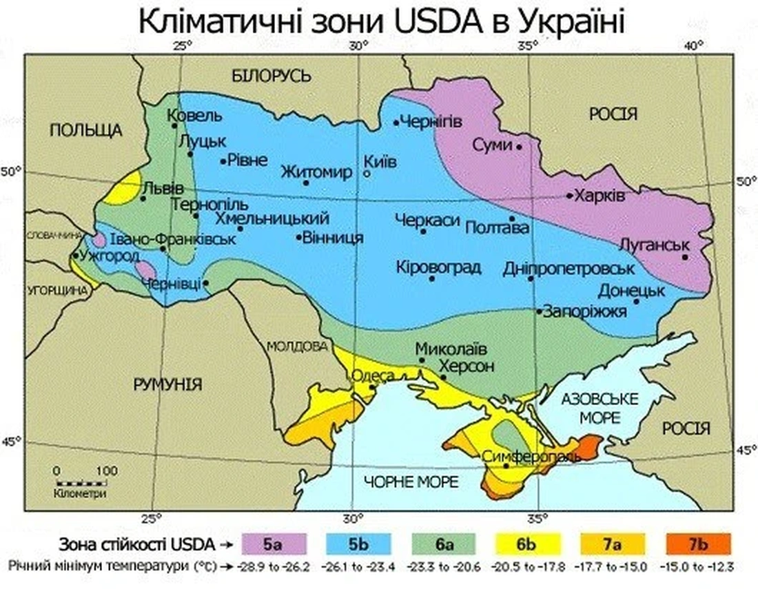 Основні кліматичні зони України