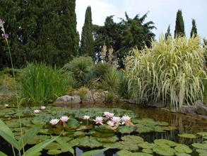 Сады Пруд Huntington Botanical Garden San Marino California USA
