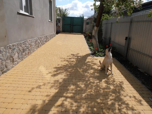 центральная часть двора