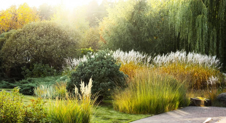 Сады Пита Удольфа в природном стиле