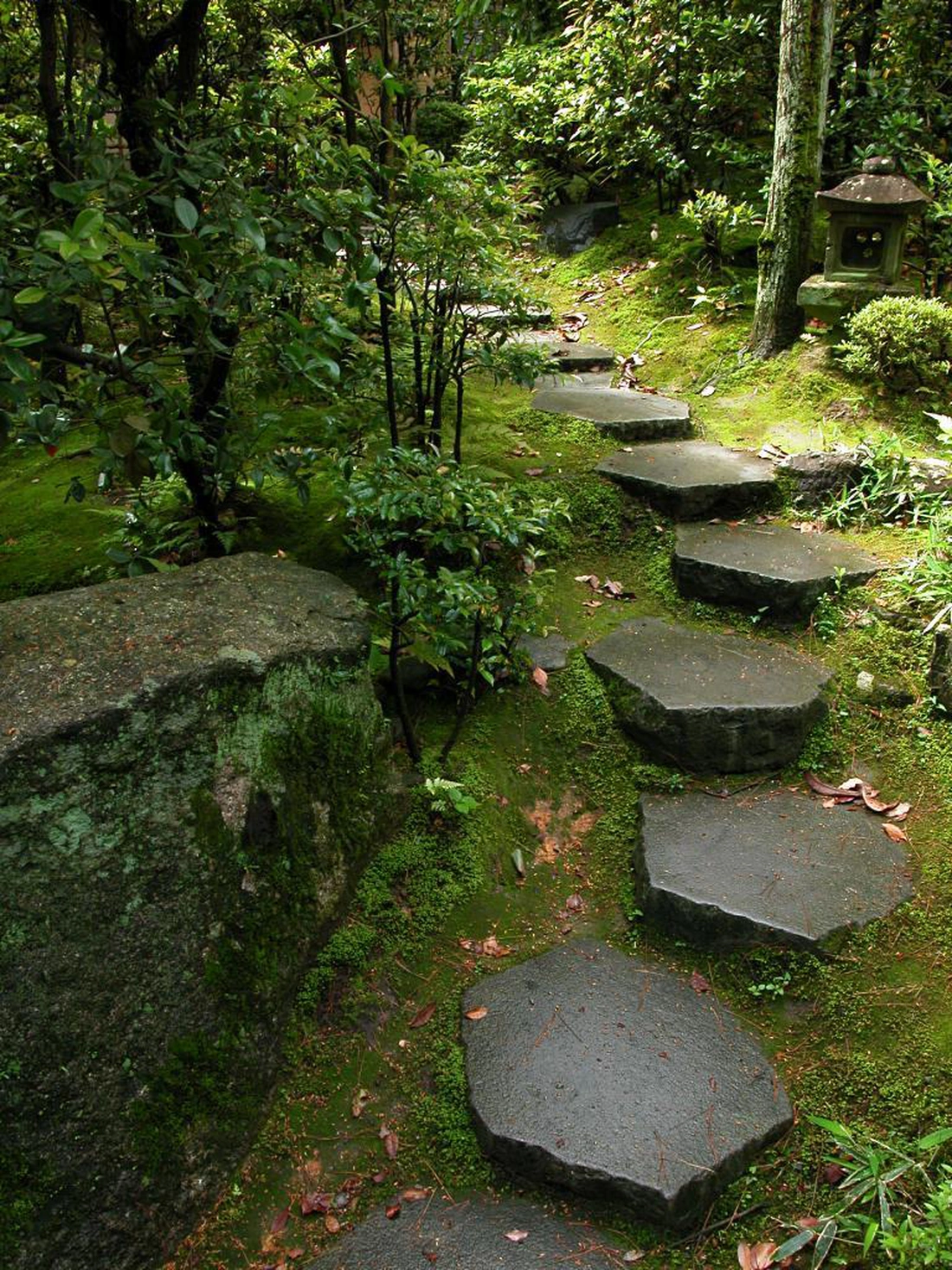 Часто в японском саду камни дорожек покрыты мхом. 