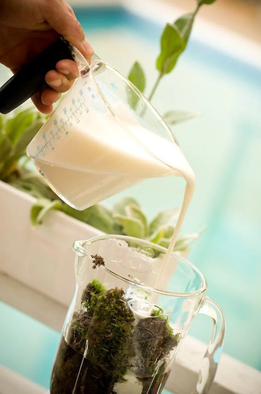 Коктейль из мха