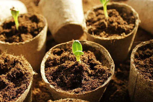 Применение торфа