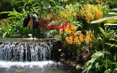 Вода в движении и падении хорошо насыщается кислородом и лучше остывает в жару, что особенно полезно для рыб и прудовых растений.