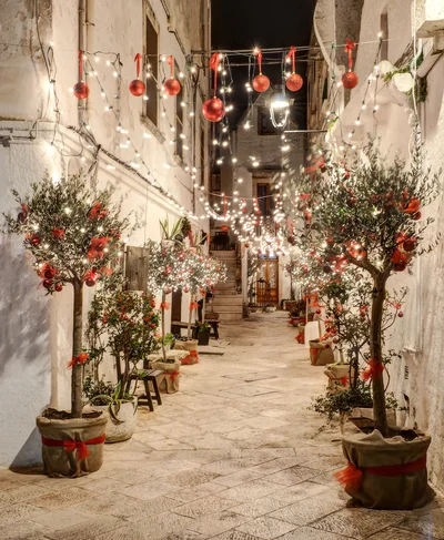 30+ Замечательных идей уличного новогоднего декора