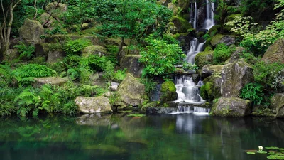Небольшой водопад в японском саду