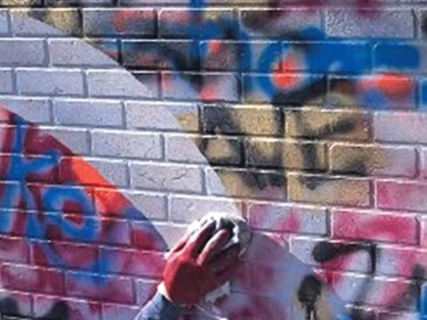 Антивандальні фарби