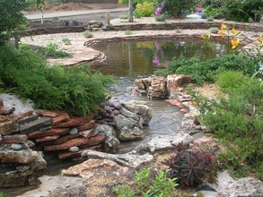 Самый простой способ соорудить своими руками водоем — это приобрести готовую чашу жестких форм (штампованных форм) из пластика или стекловолокна. 