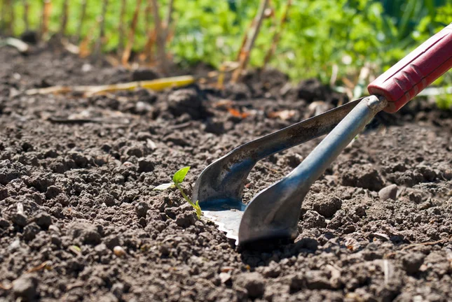 Плоскорез для удаления сорняков