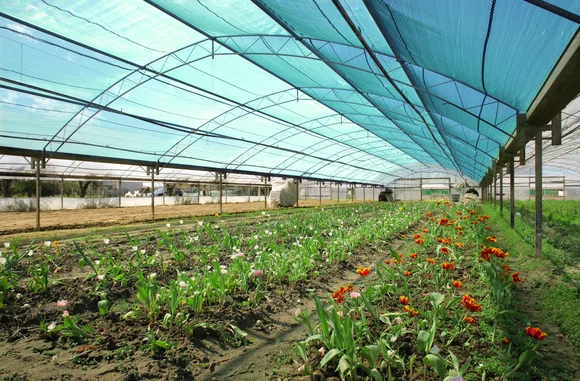 Затеняющая сетка для парника и теплицы