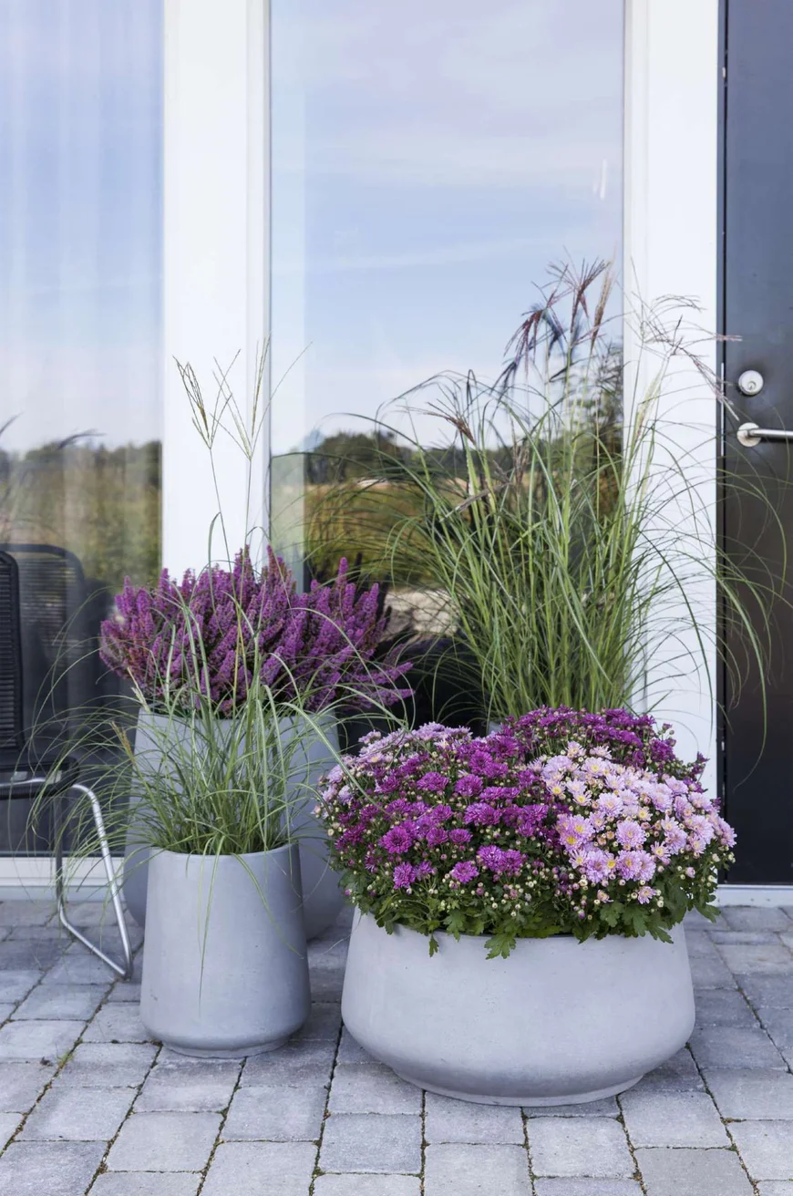 Добавь интересную листву, травы и злаки