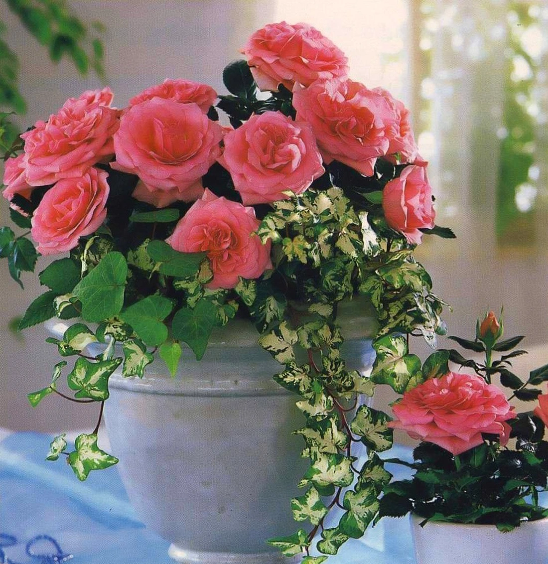 Керамическая ваза для букета роз
