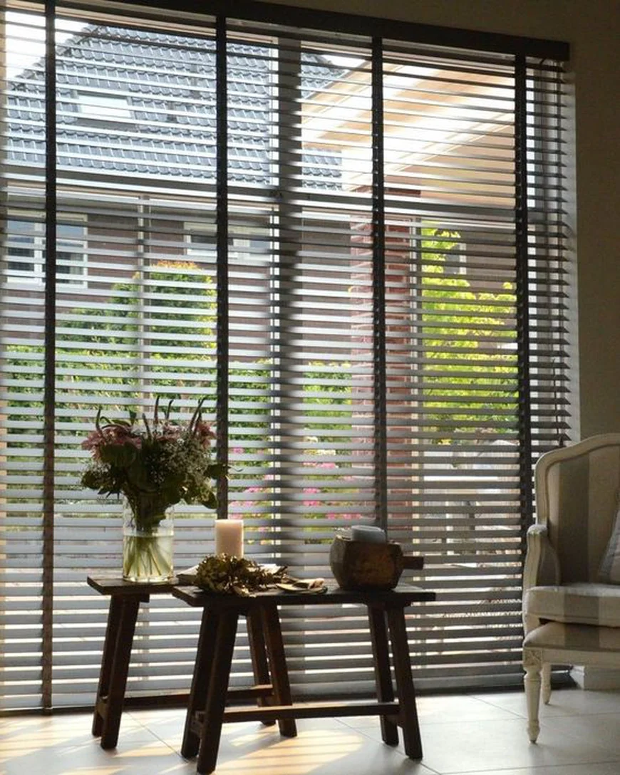 Горизонтальні стандартні жалюзі